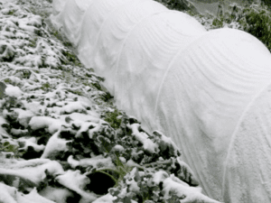 Agribon protección contra heladas